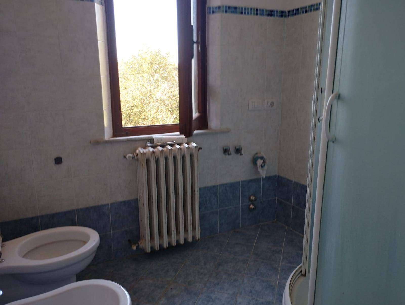  - foto 36