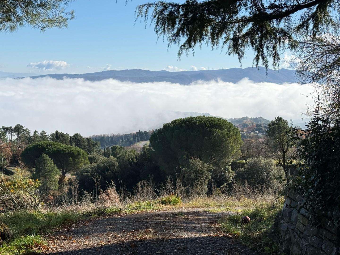  - foto 63