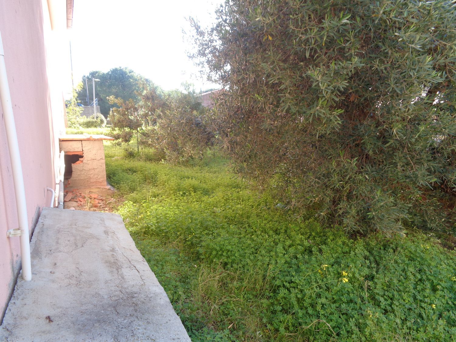  - foto 6