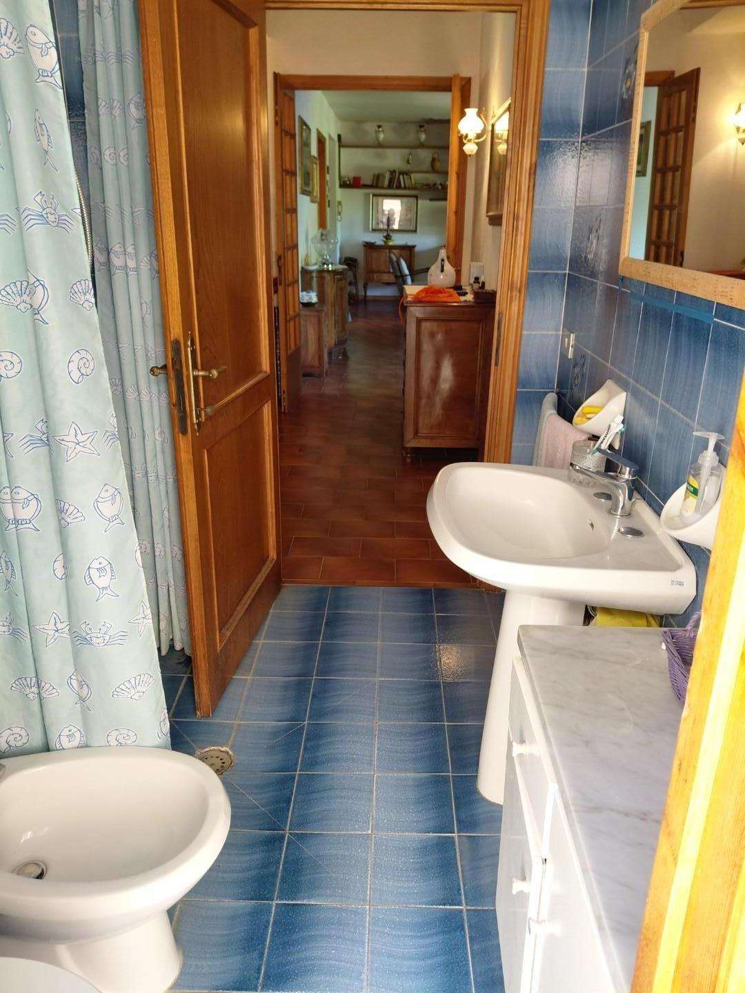  - foto 29