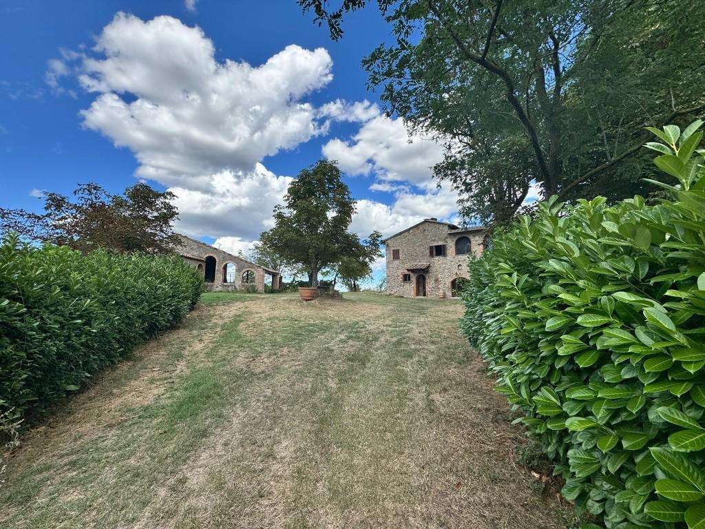  - foto 11