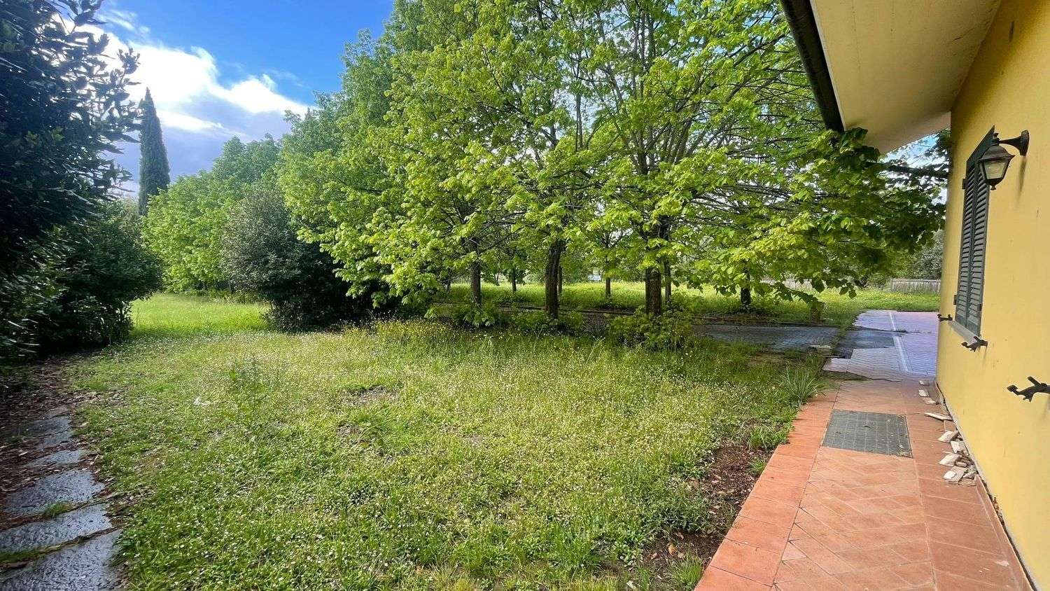  - foto 17