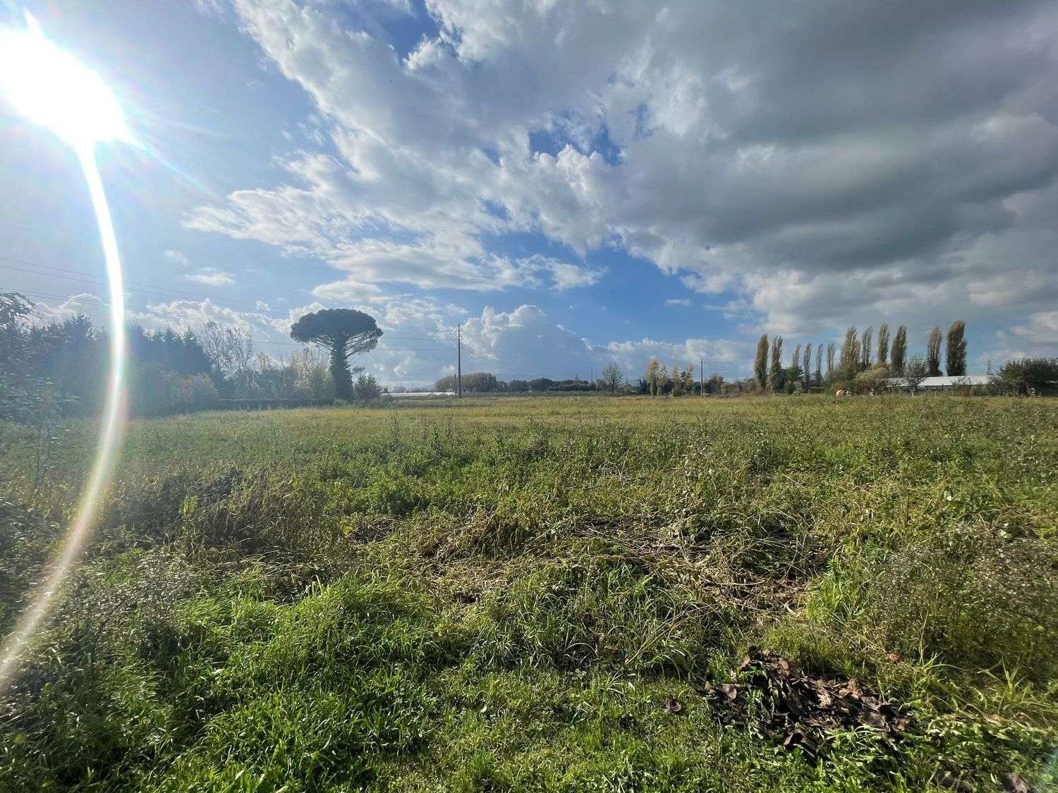  - foto 4