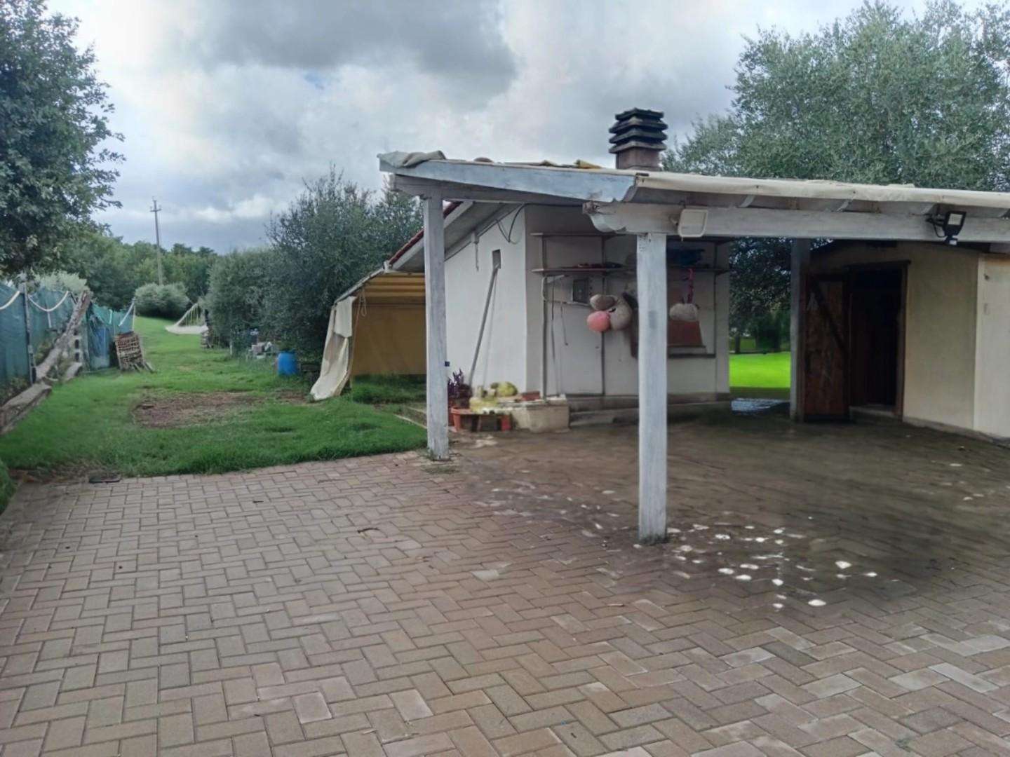  - foto 26