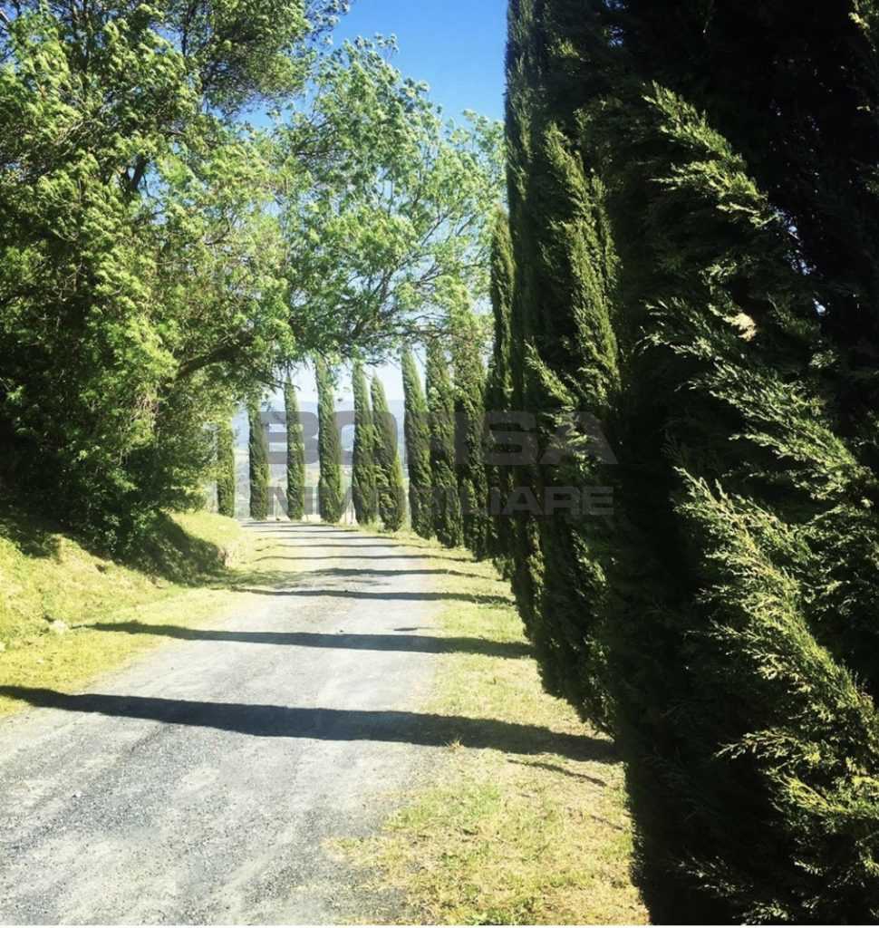  - foto 4