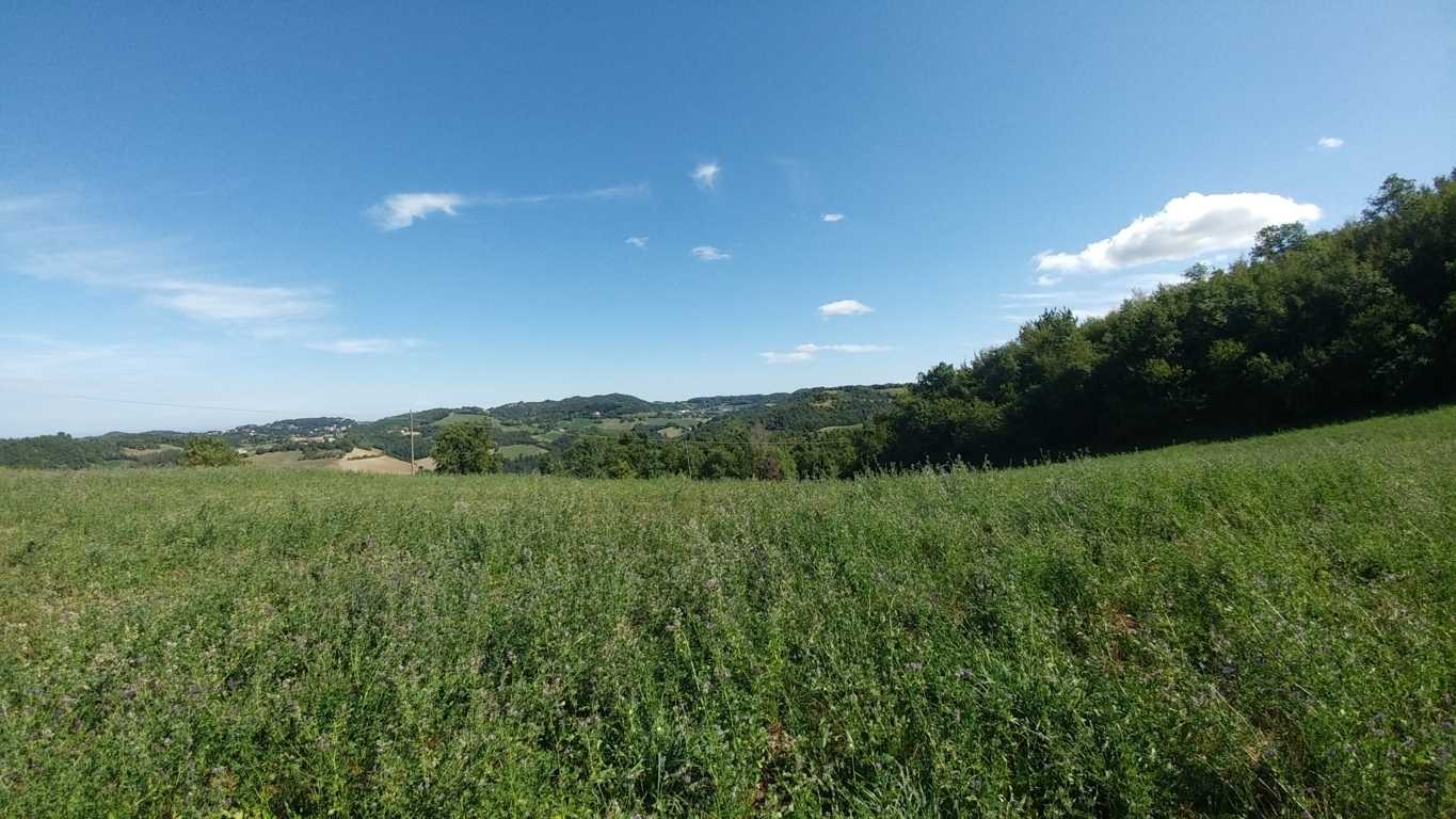  - foto 47