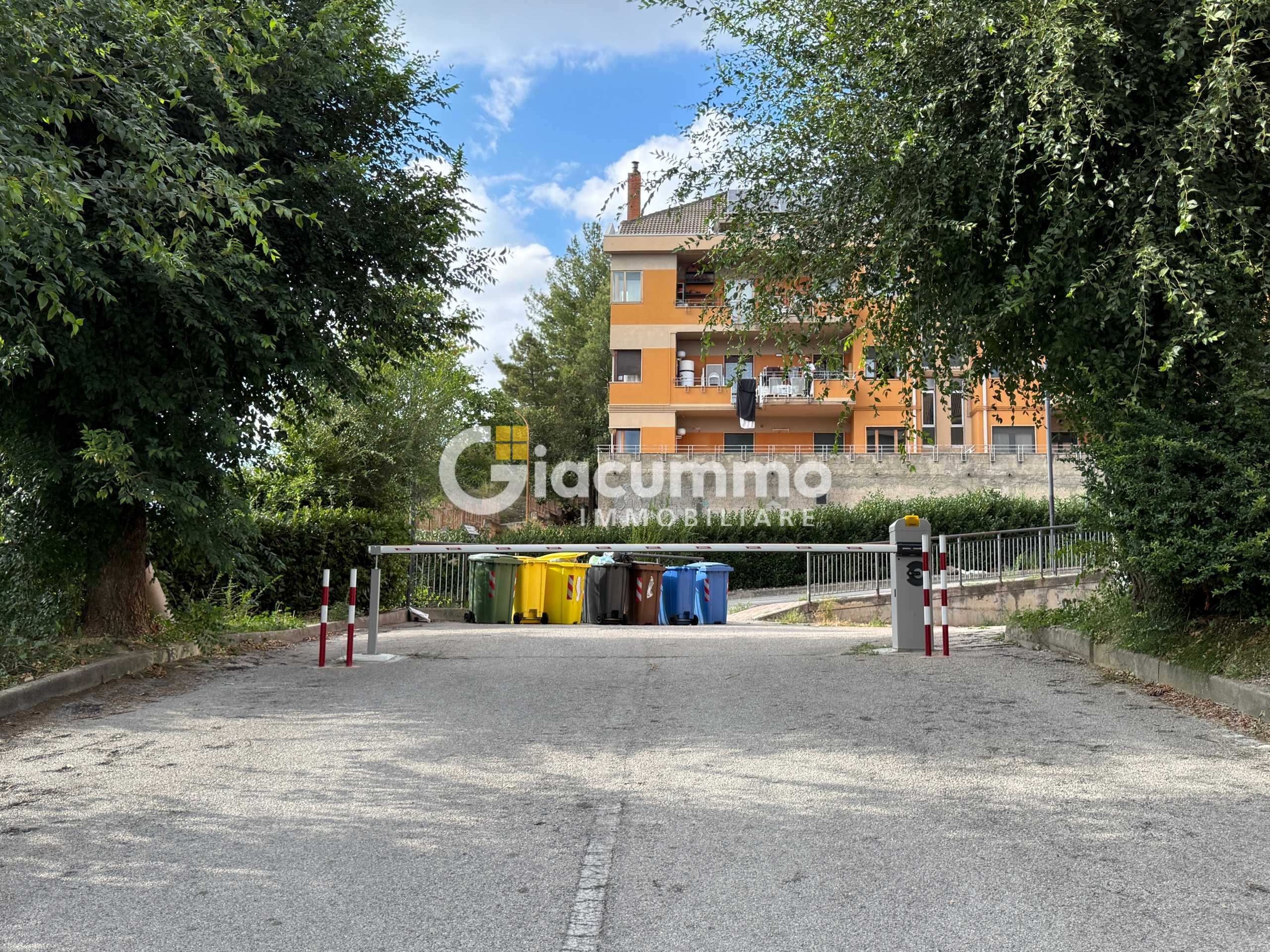  - foto 14