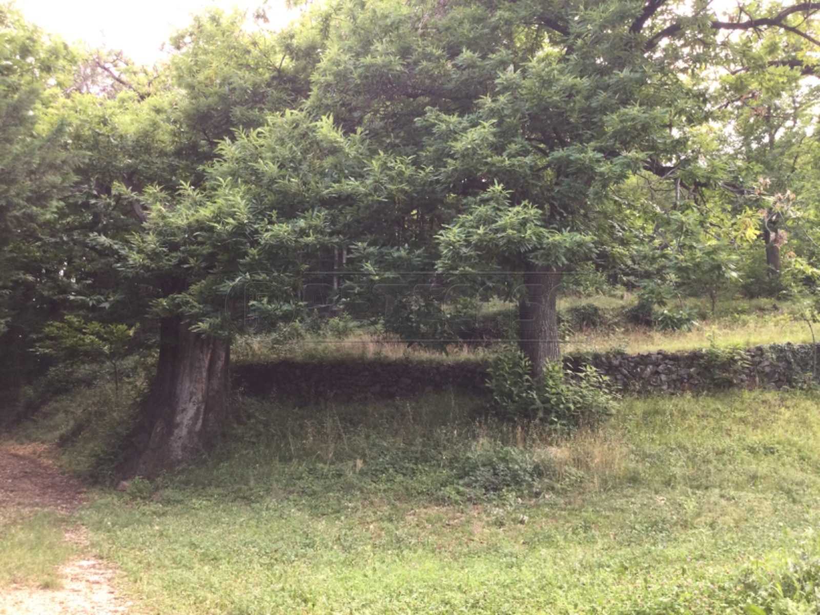  - foto 15