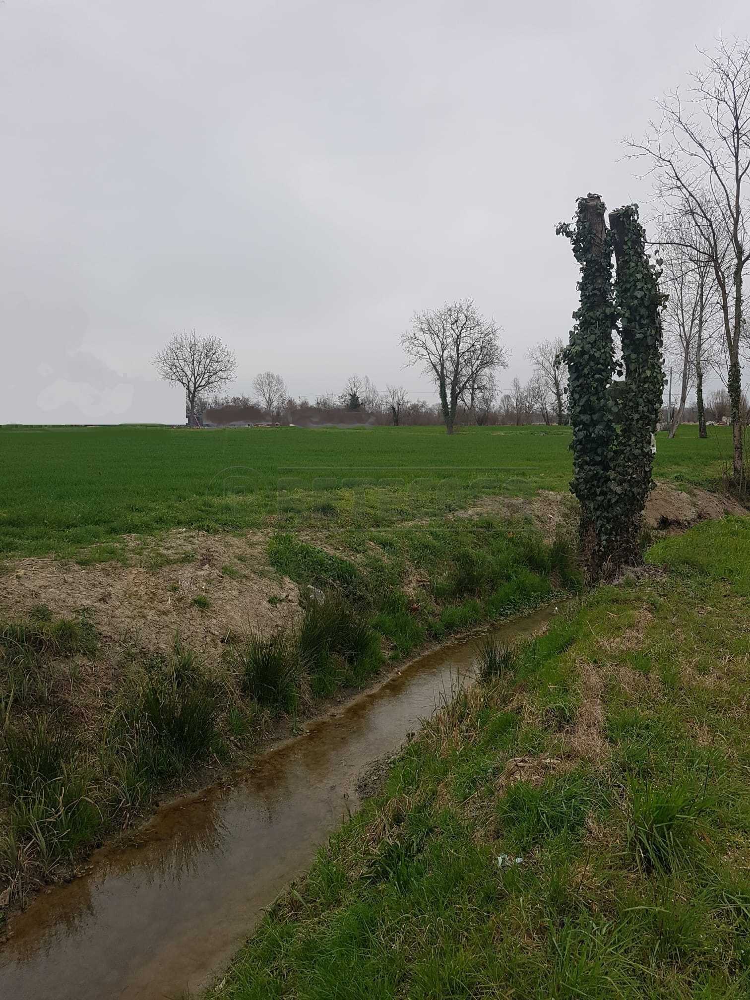 Terreno edificabile Strada Delle Brugnole, Noale