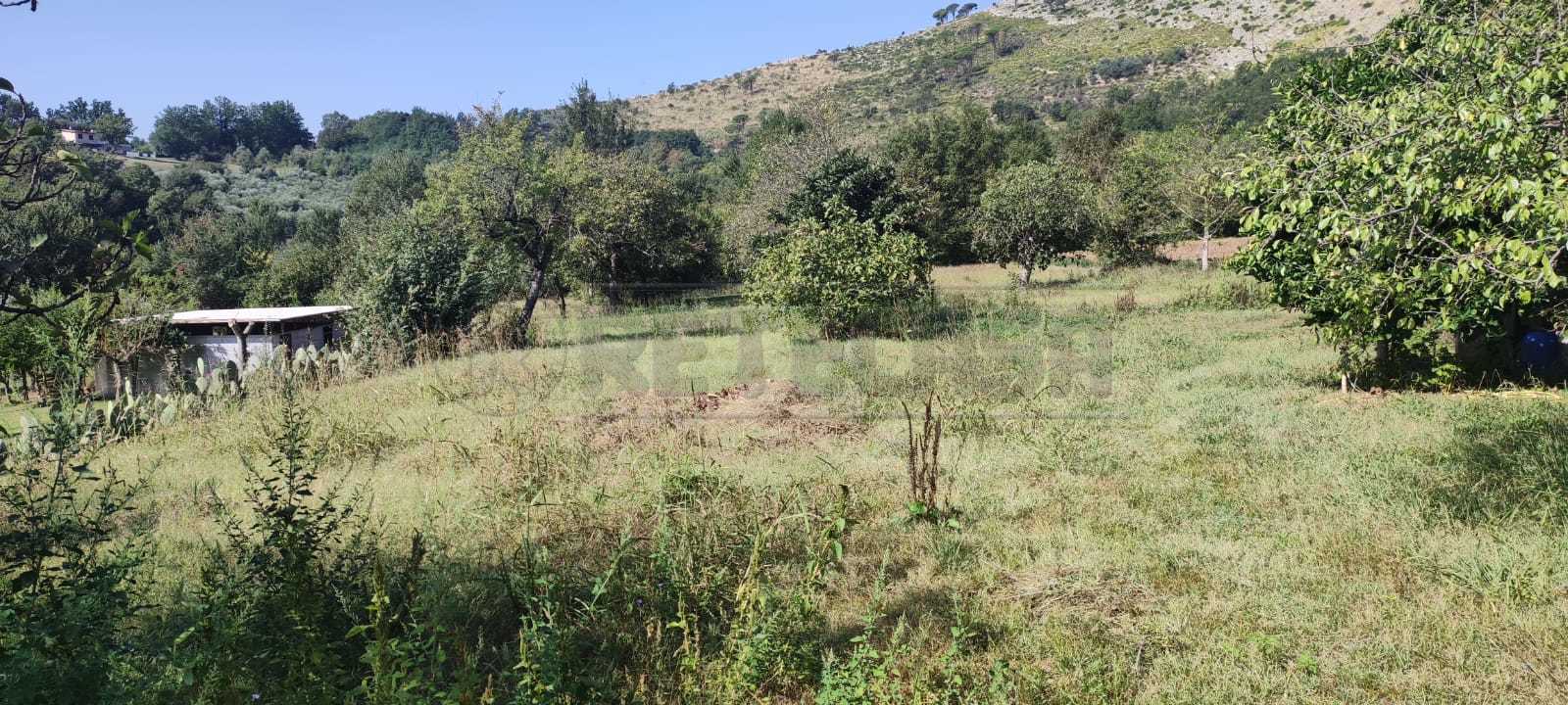  - foto 16