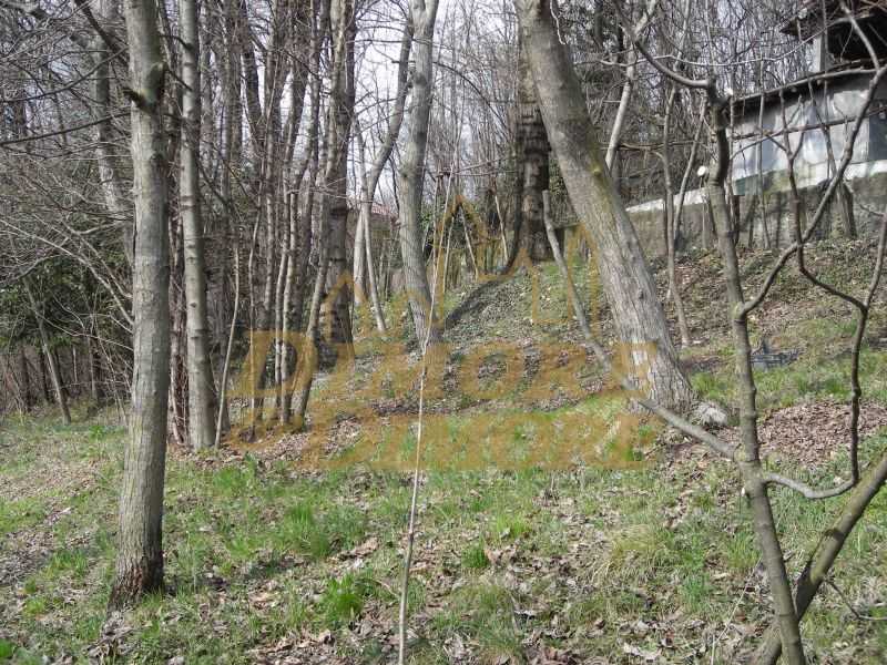  - foto 22