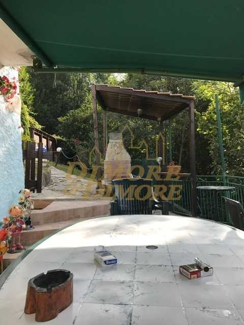  - foto 29