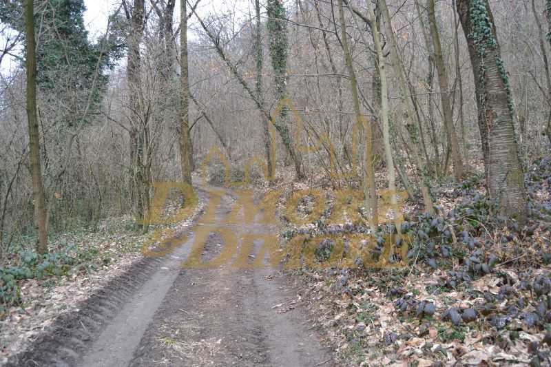  - foto 11