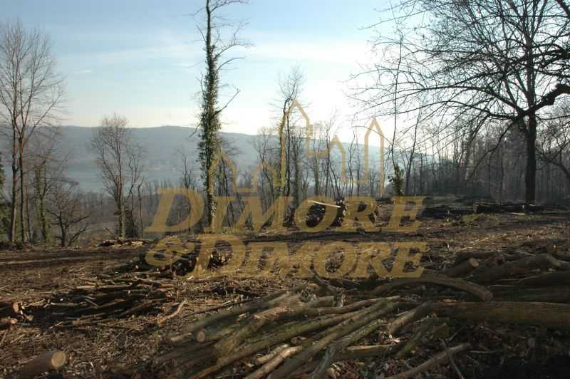 - foto 17