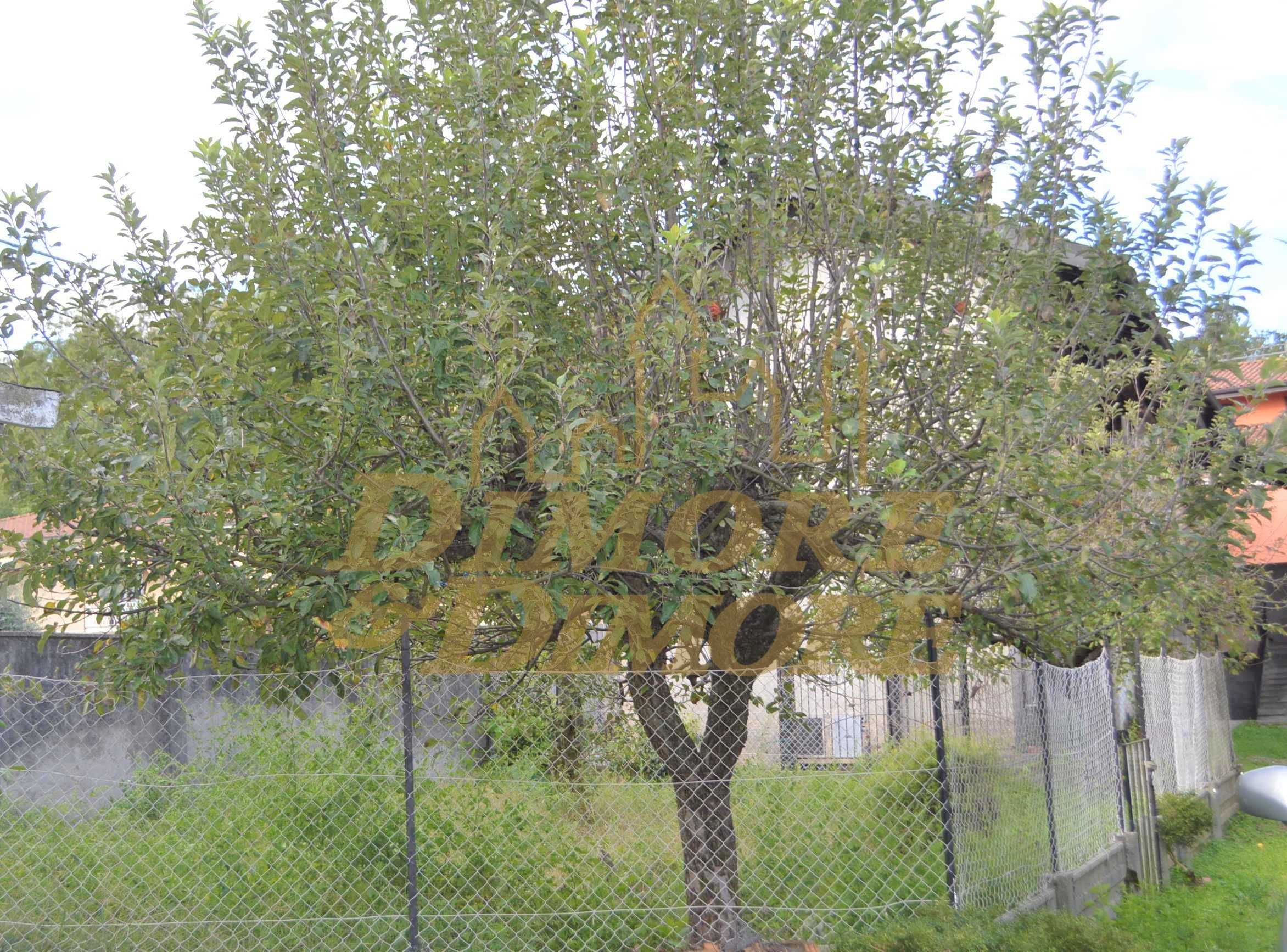  - foto 2