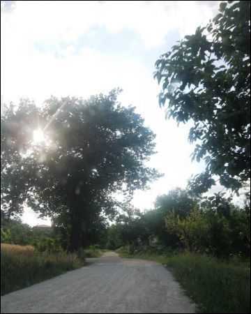  - foto 2