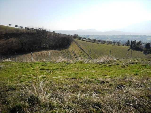  - foto 2