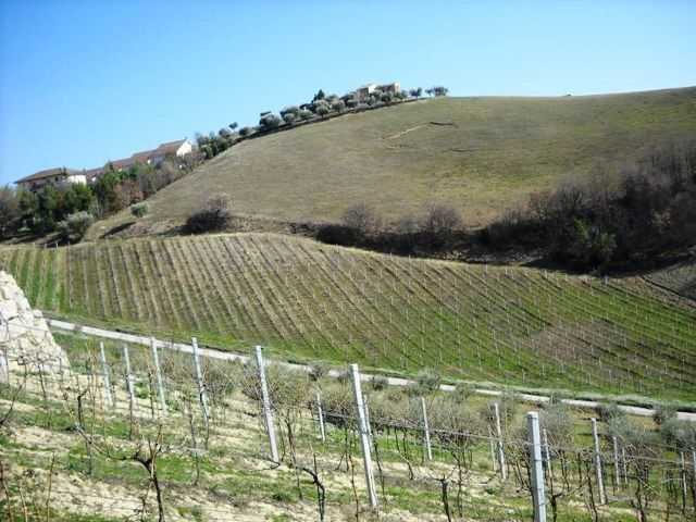  - foto 7