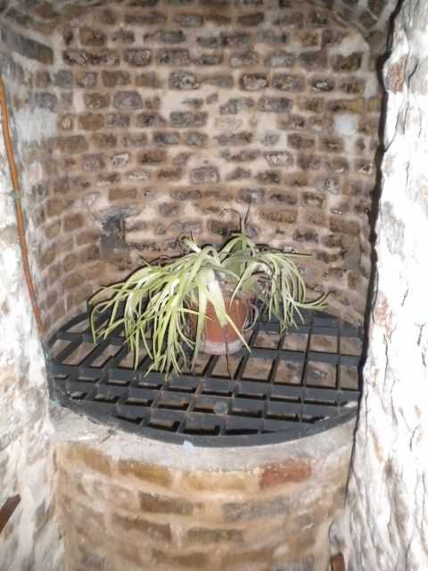  - foto 15