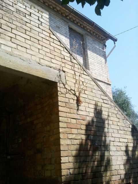  - foto 10