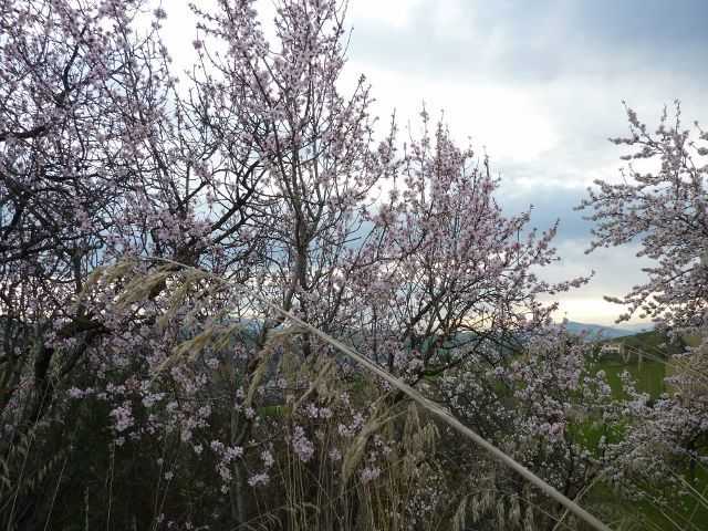  - foto 20