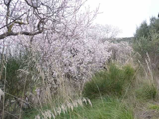  - foto 23