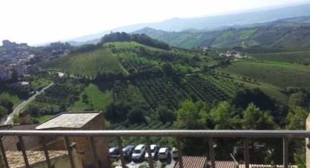  - foto 13