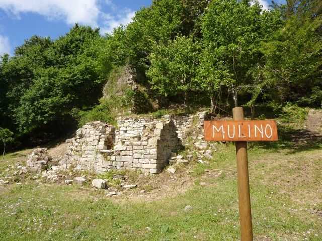 - foto 23