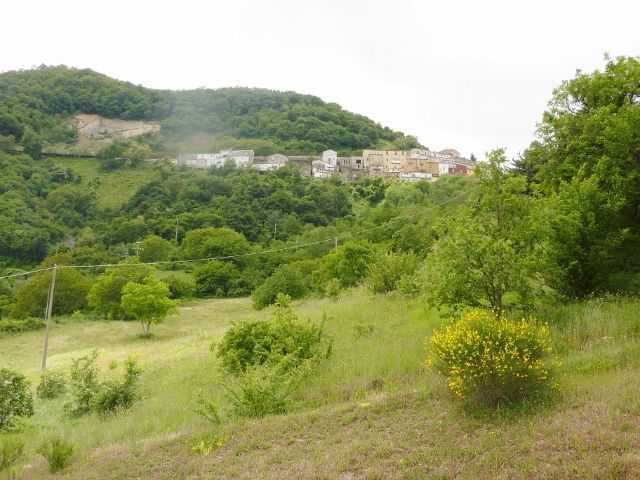  - foto 33