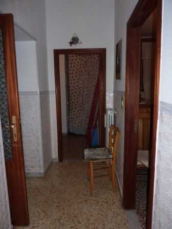  - foto 4