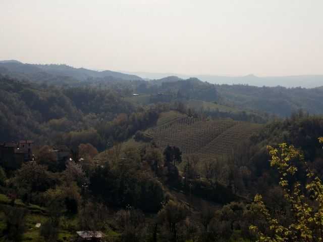  - foto 15