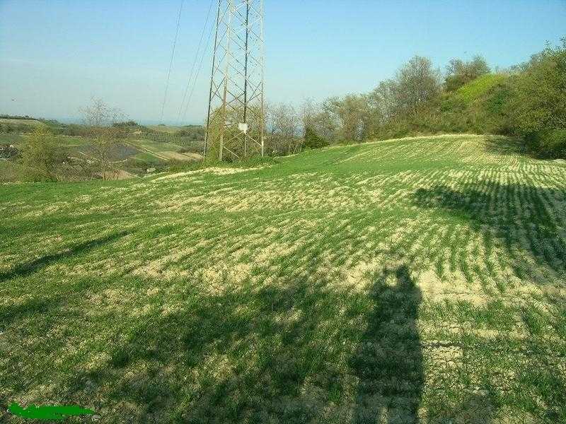  - foto 12