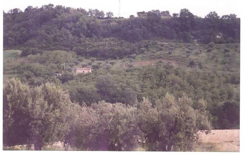 - foto 14