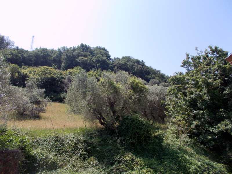  - foto 20
