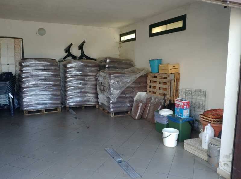  - foto 21