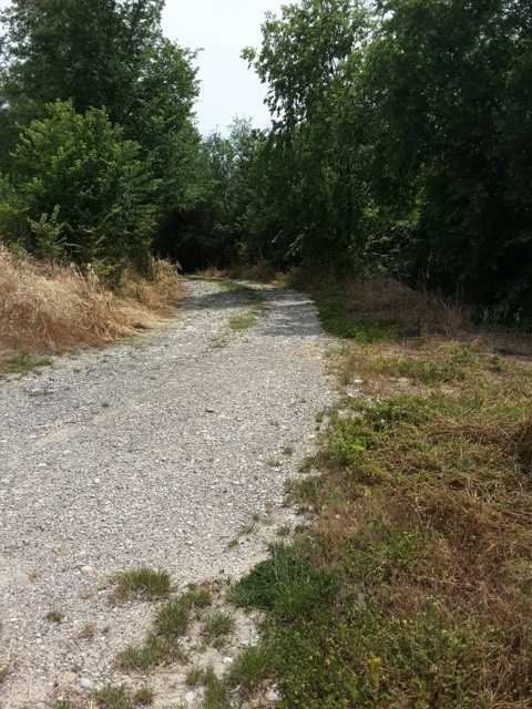  - foto 4