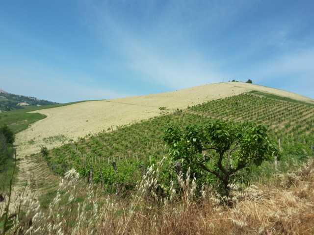  - foto 8