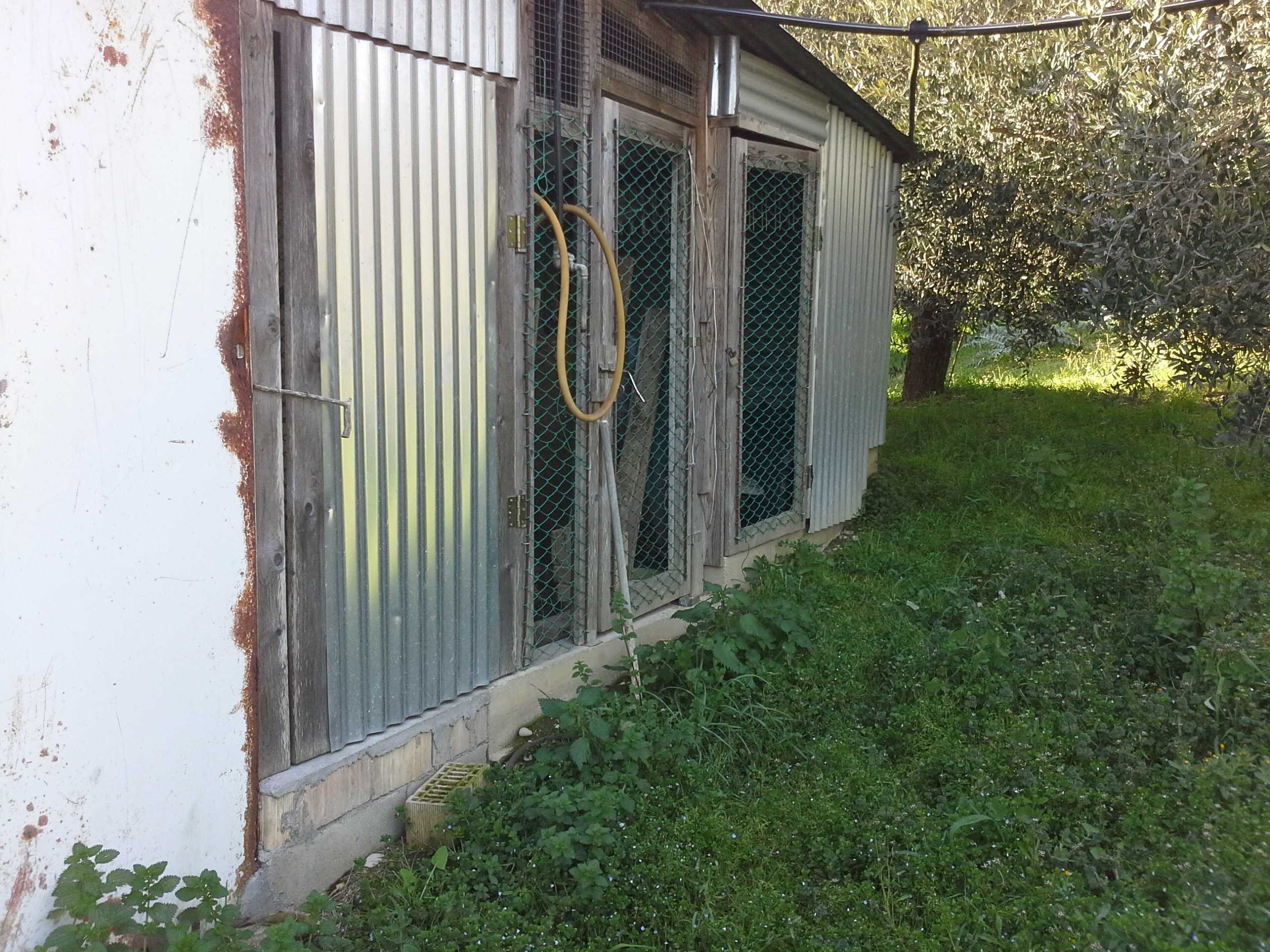  - foto 11