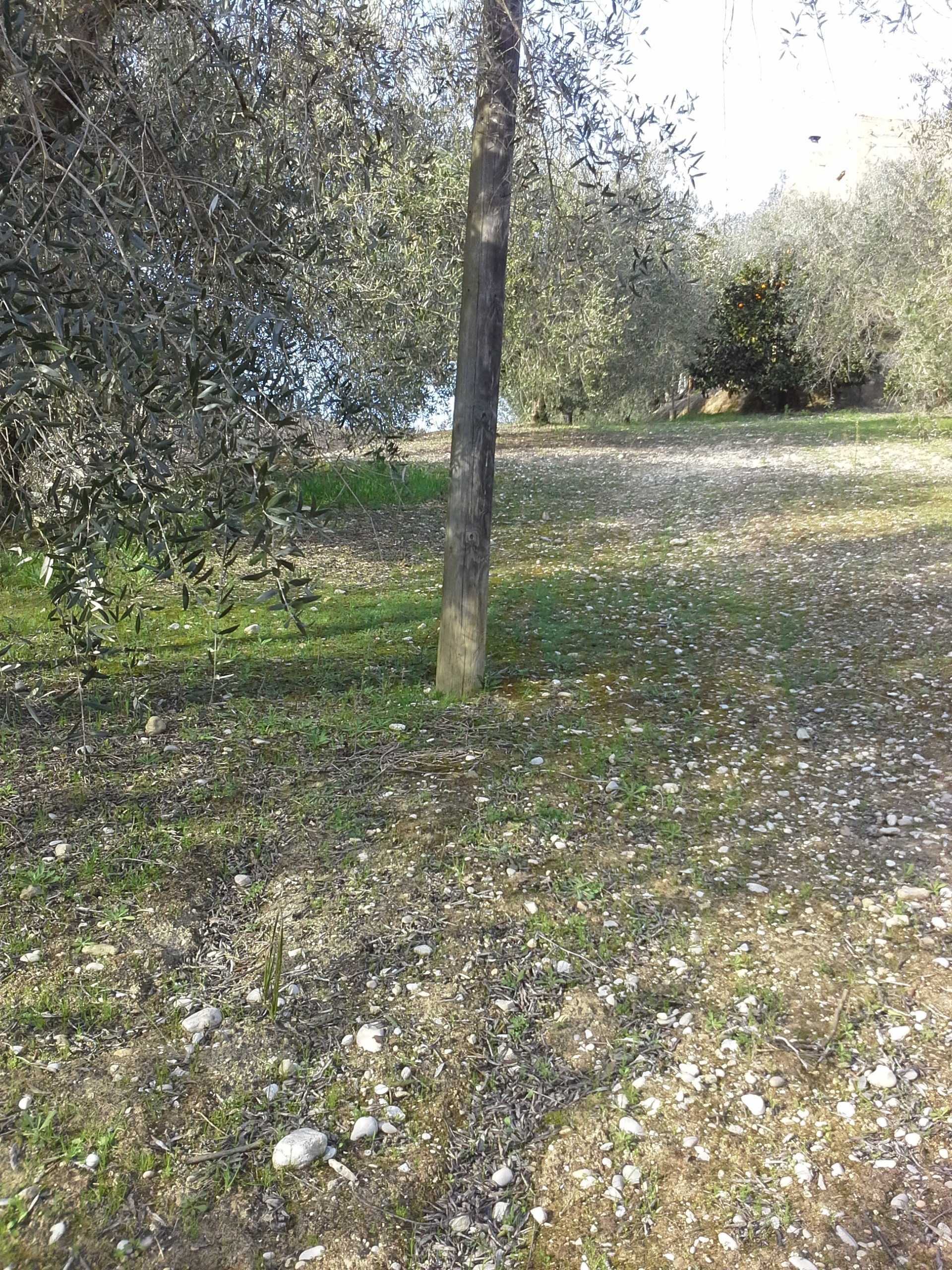  - foto 20