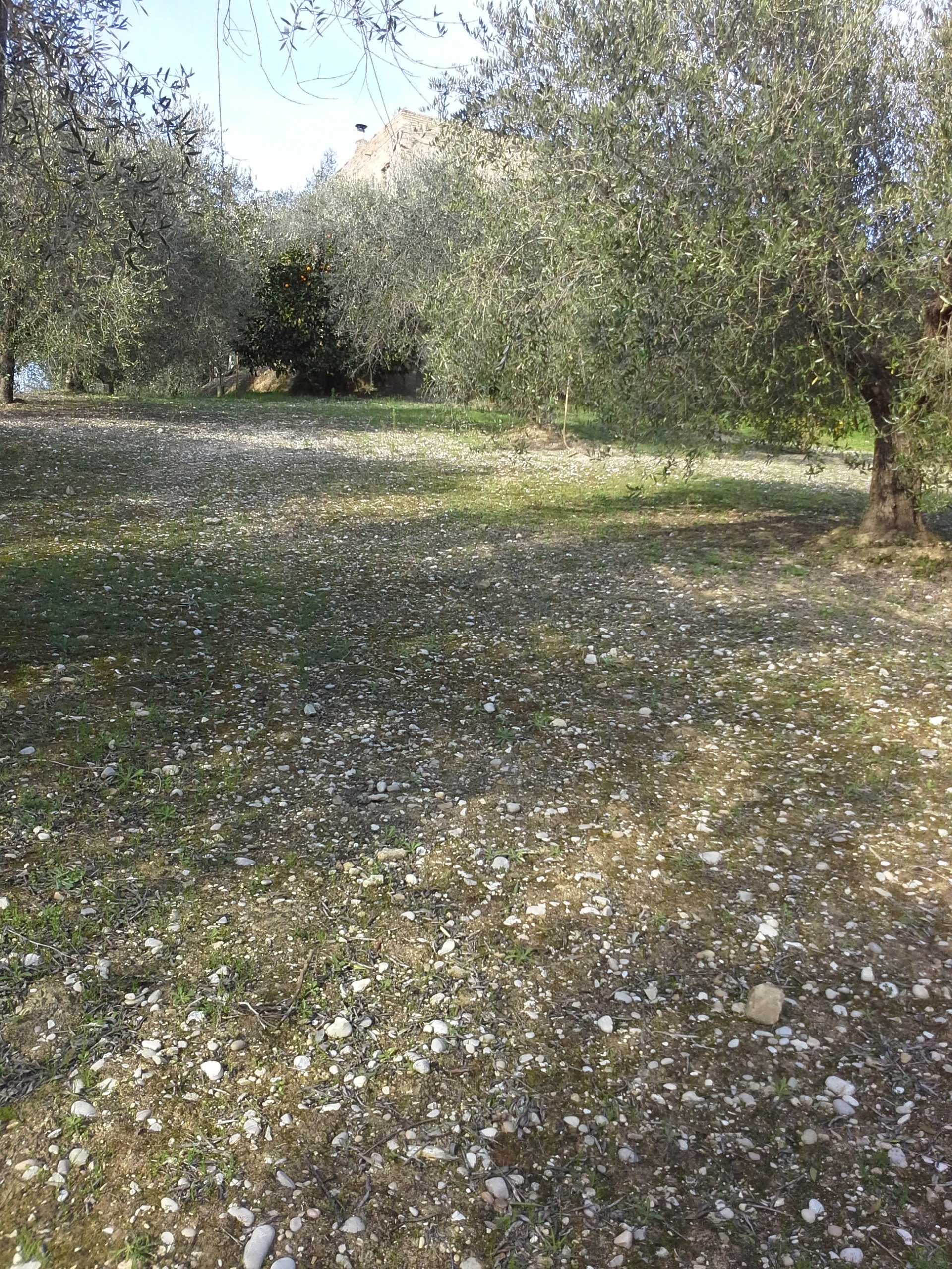  - foto 21