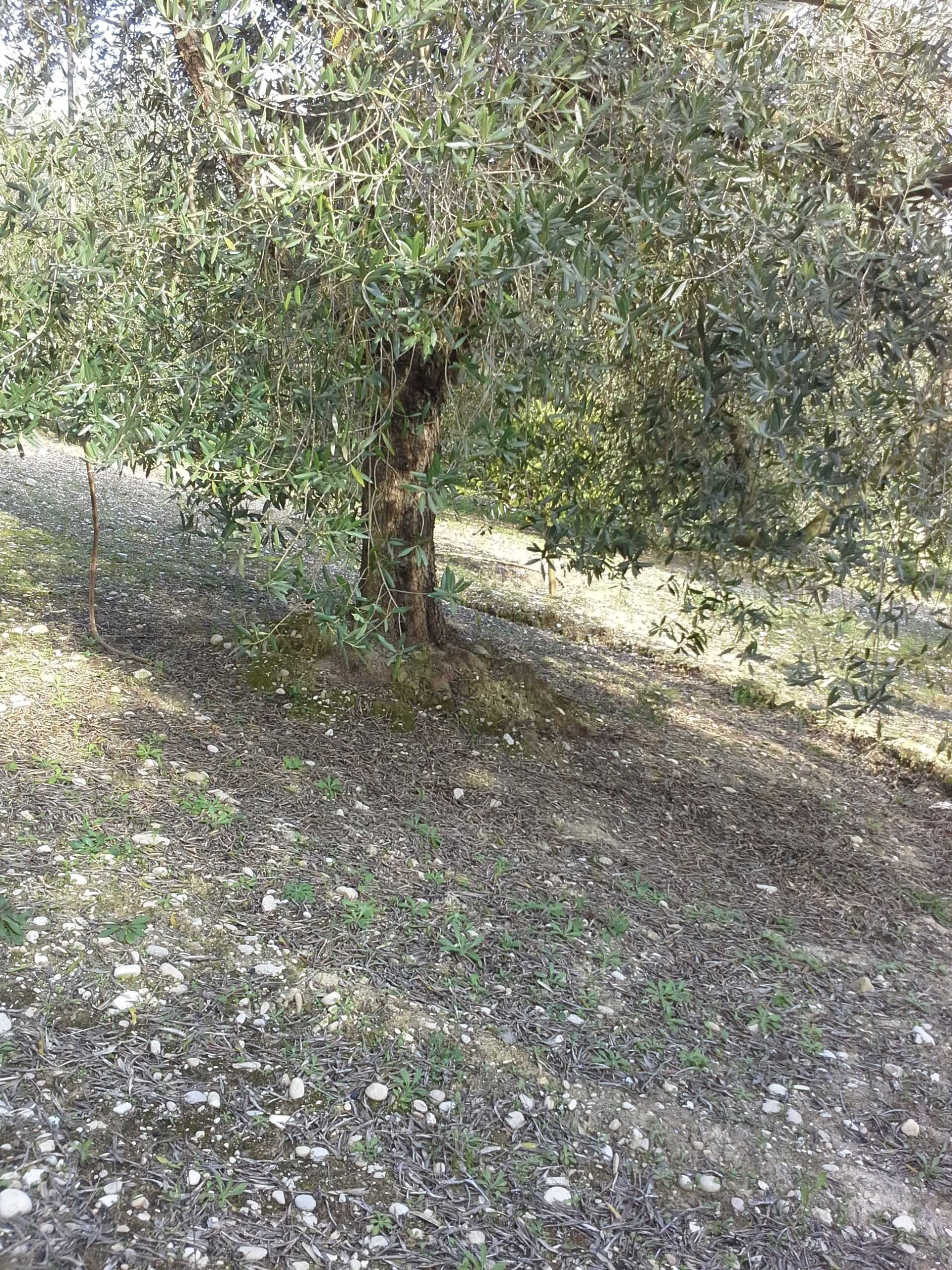  - foto 22