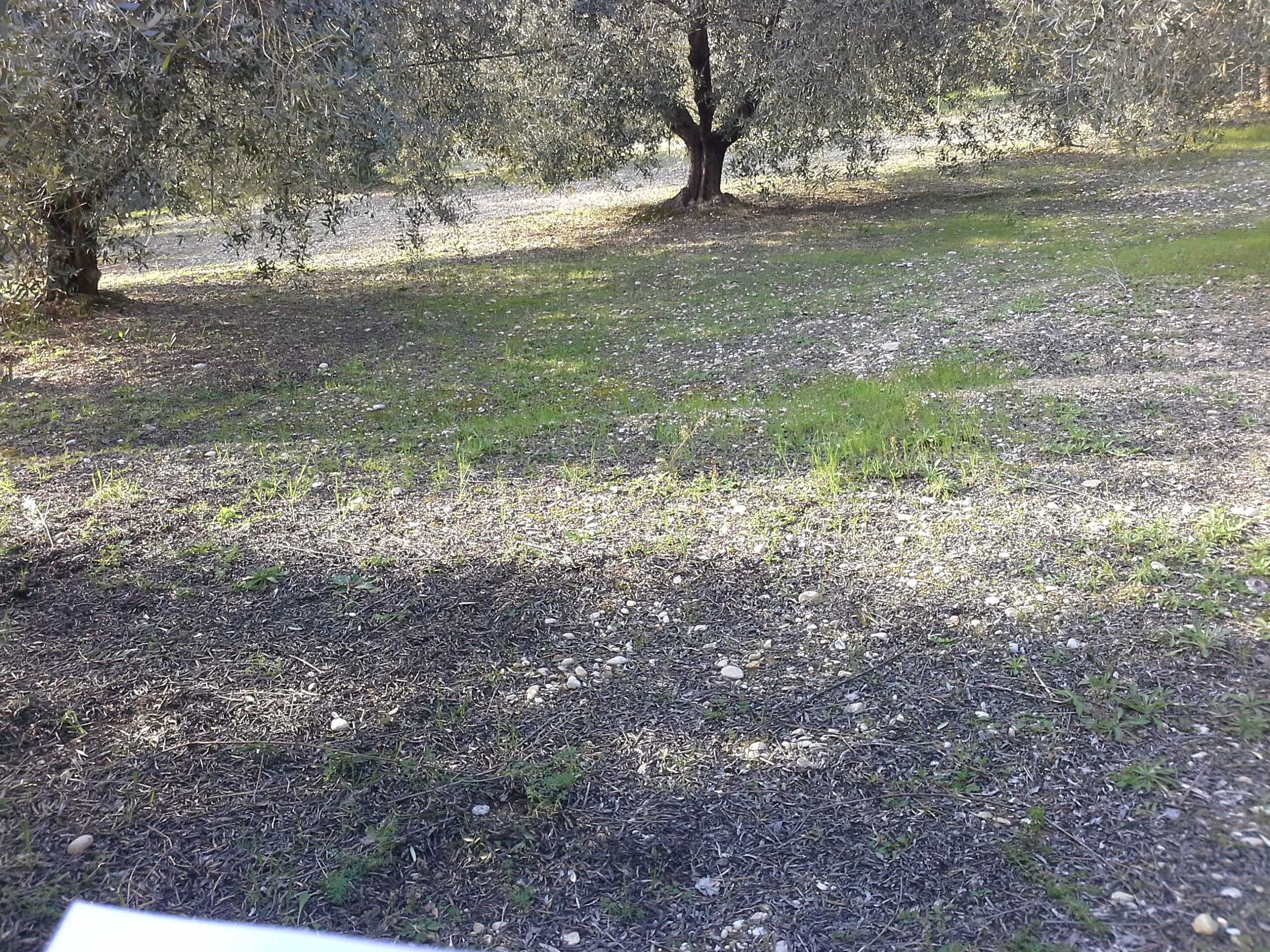  - foto 27