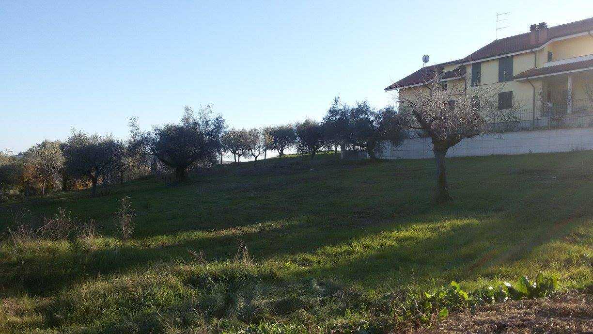  - foto 2