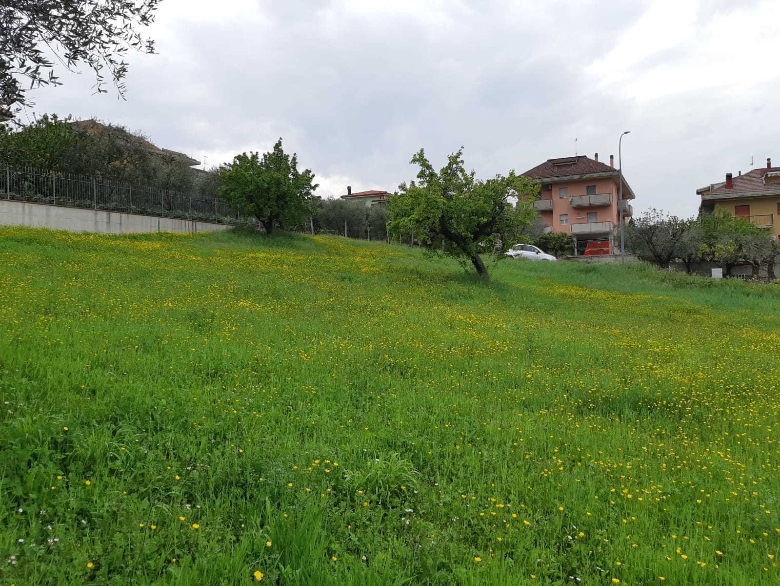  - foto 4