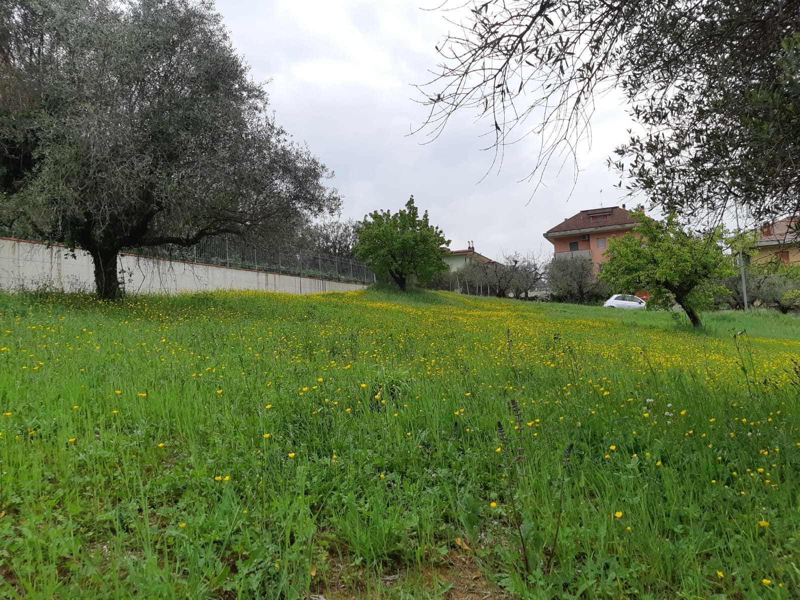  - foto 5