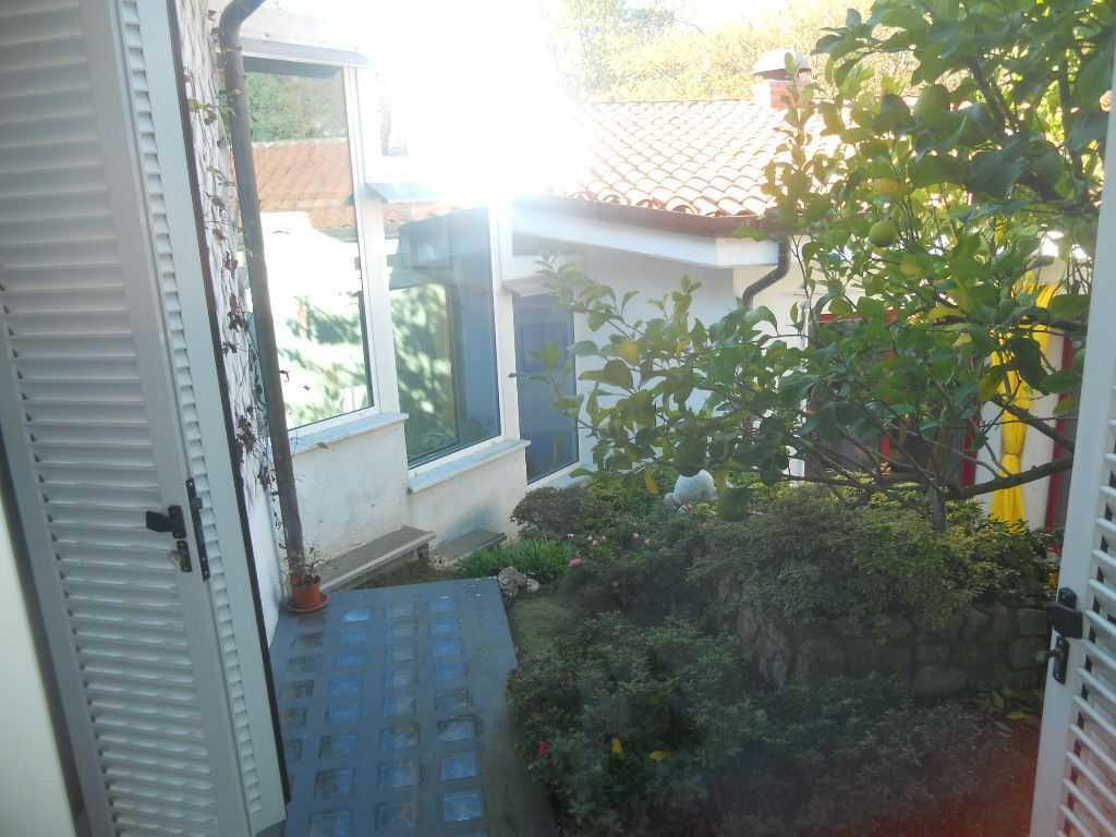  - foto 11
