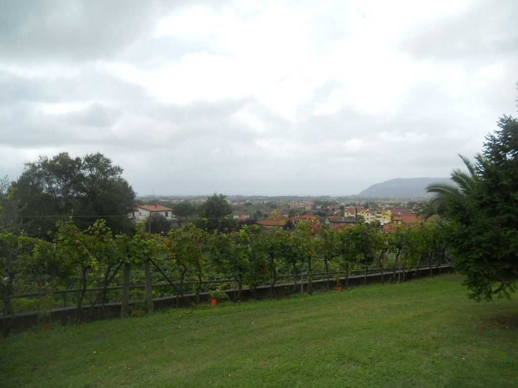  - foto 10
