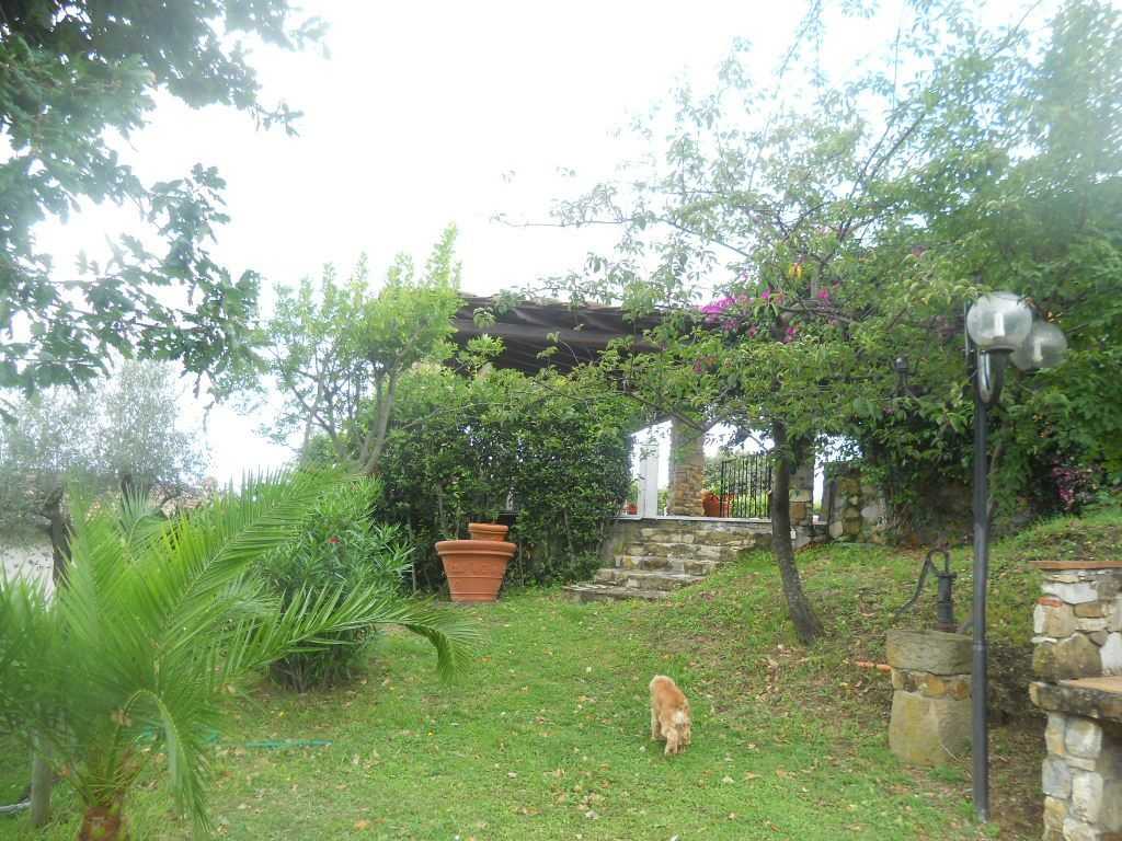  - foto 12