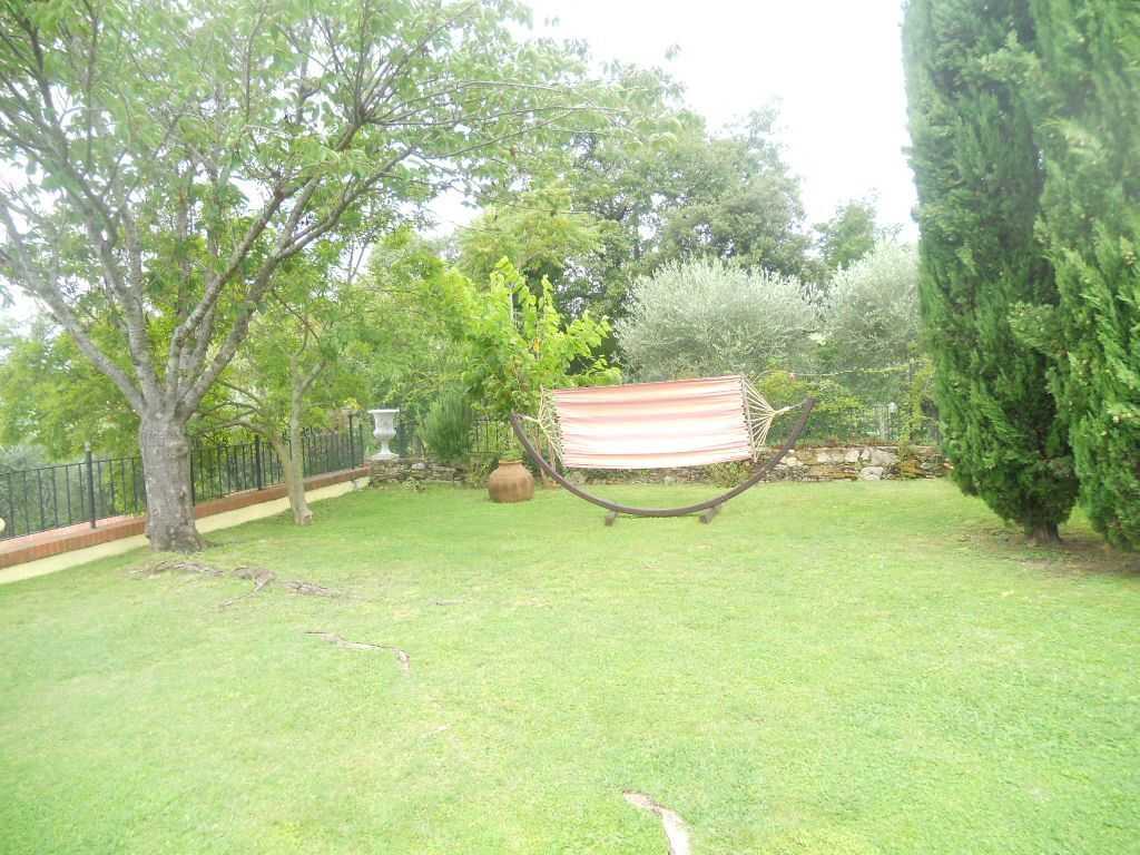  - foto 34