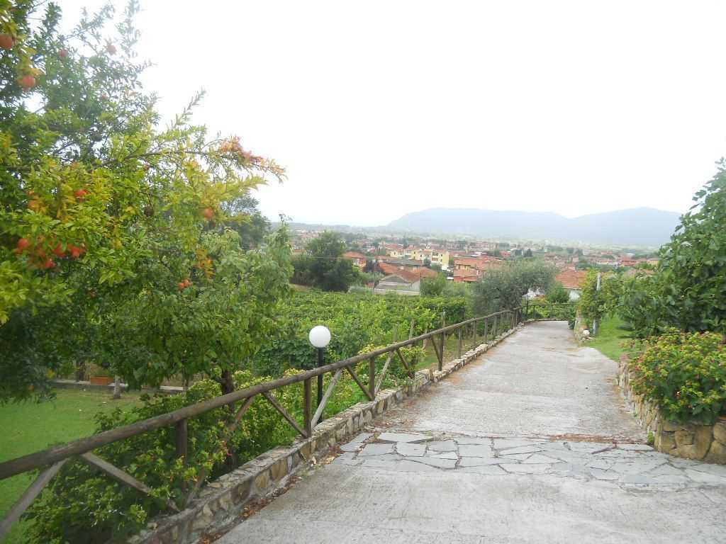  - foto 6